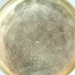 offers/ohvoldw-/006.jpg