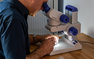 Überprüfung am Mikroskop